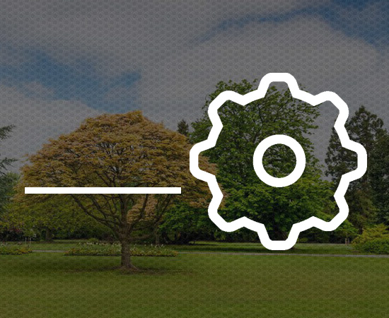 Search Engine Optimization